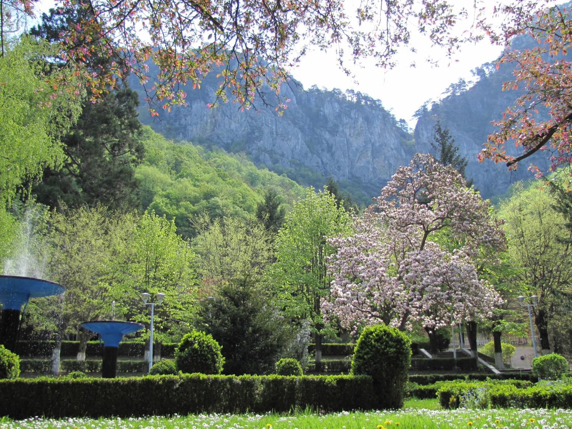 Guesthouse Magic Băile Herculane Eksteriør billede